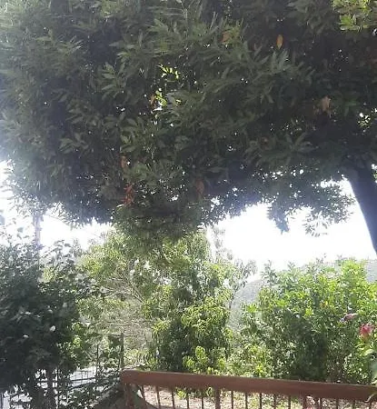 Ca Du Stea *