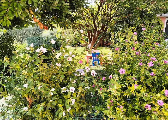 Ca Du Stea * لافانيا