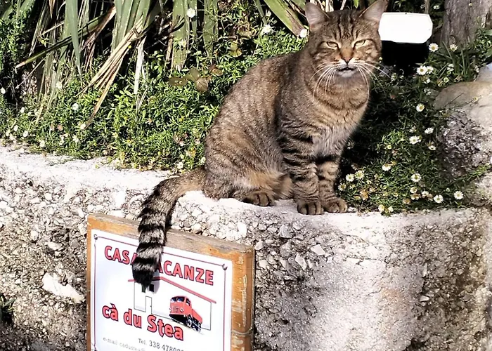 Сasa de vacaciones Ca Du Stea Lavagna