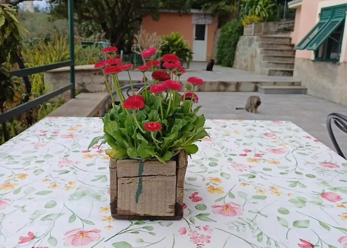 Hébergement de vacances Ca Du Stea *