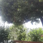 Ca Du Stea *