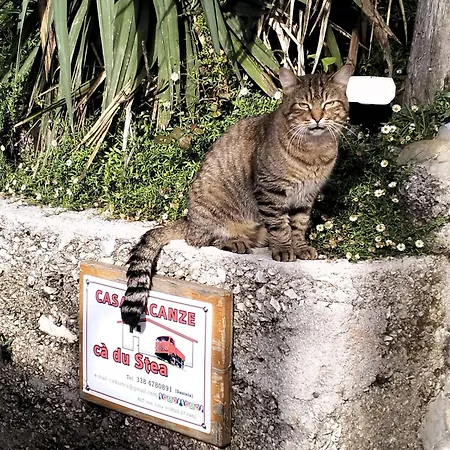 Ferienhaus Ca Du Stea Lavagna
